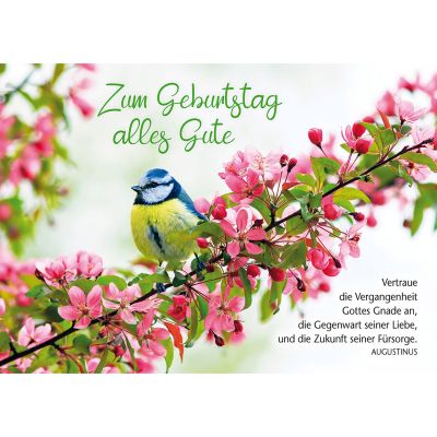 Postkarten: Zum Geburtstag alles Gute, 4 Stück