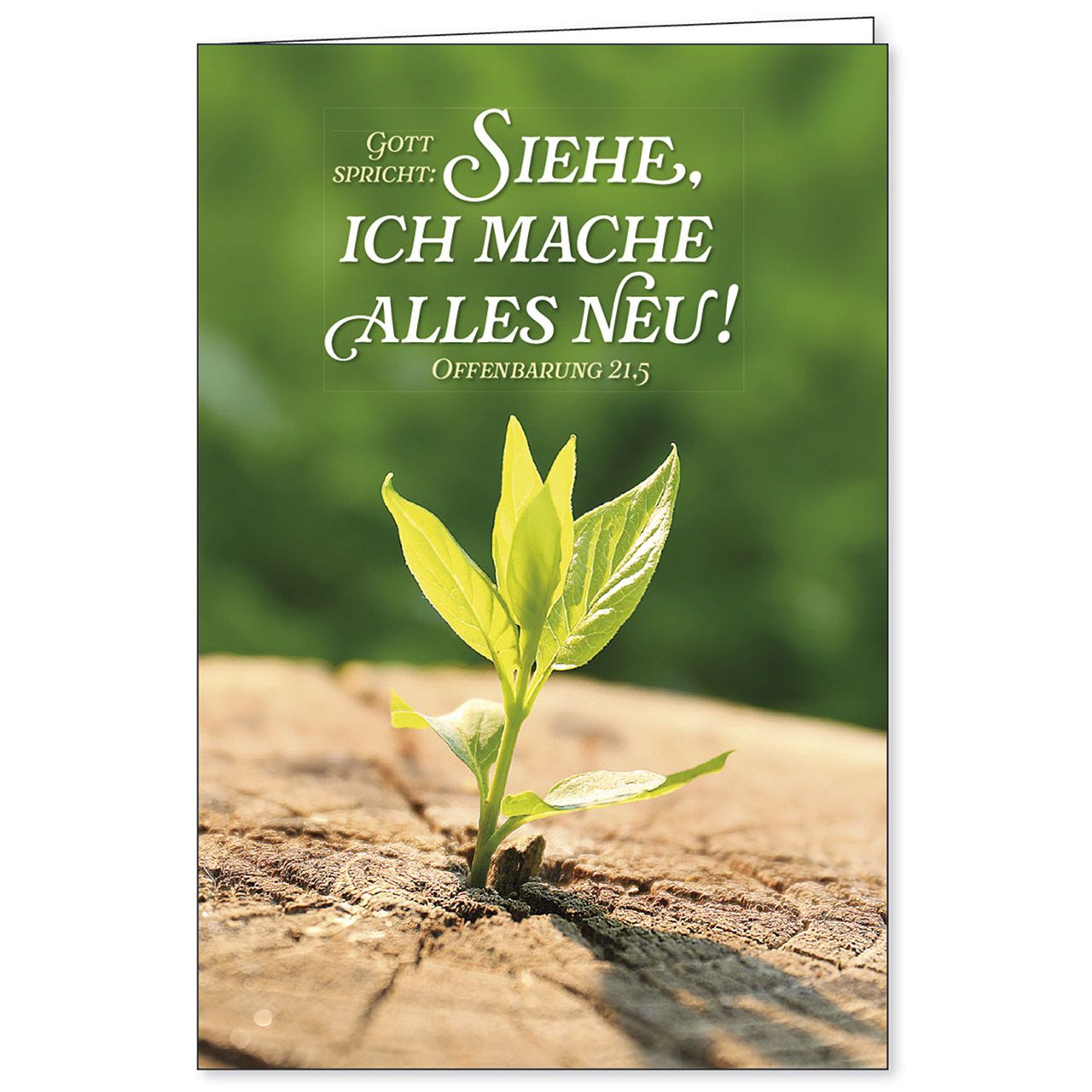 Faltkarte: Gott spricht: Siehe, ich mache alles neu - Top-Motiv