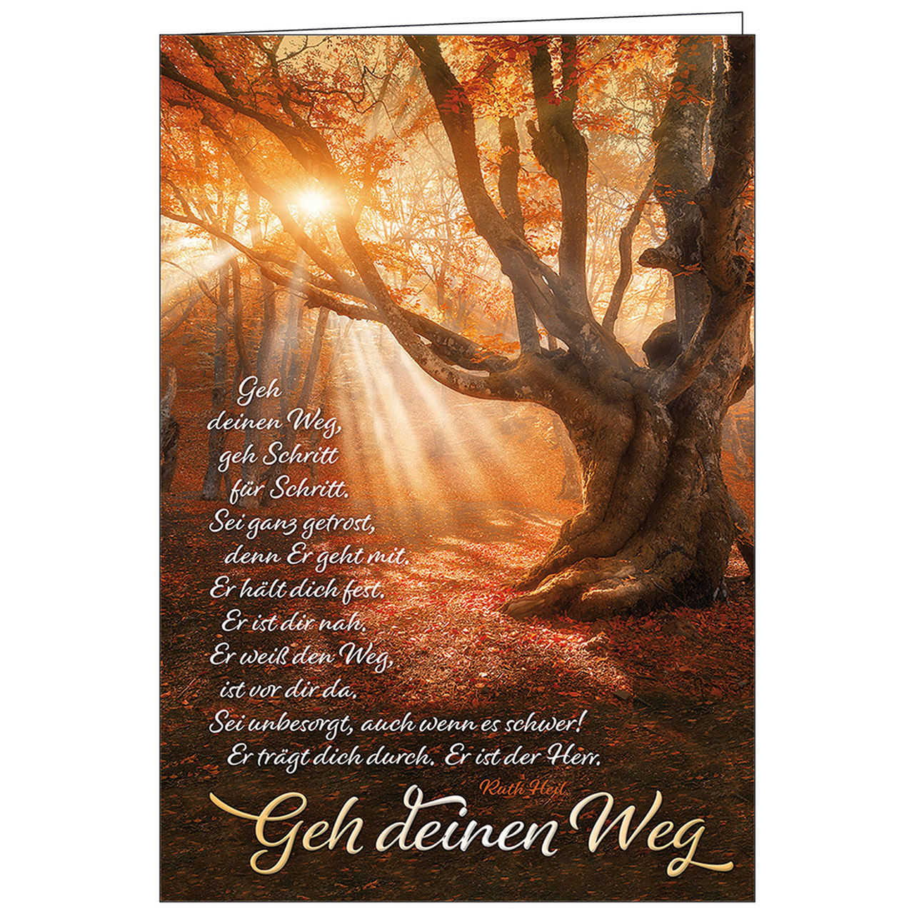 Faltkarte: Geh deinen Weg 