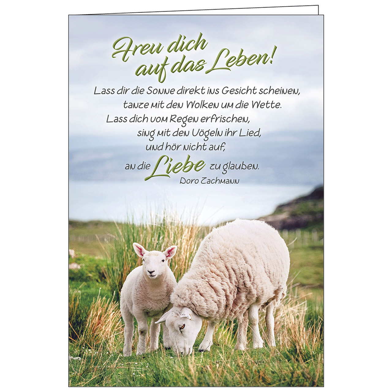 Faltkarte Freue dich auf das Leben