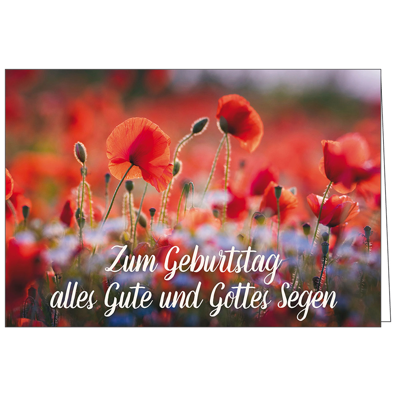 Faltkarte: Zum Geburtstag alles Gute und Gottes Segen 