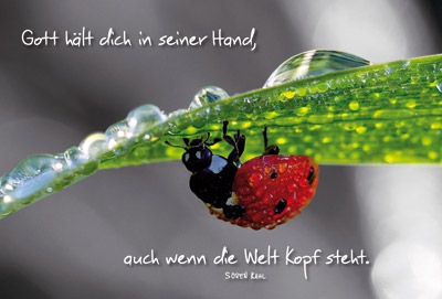 Faltkarte: Gott hält dich in seiner Hand - Geburtstag