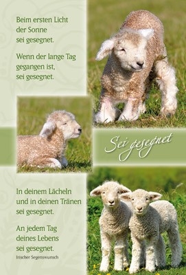 Faltkarte: Sei gesegnet - Geburtstag