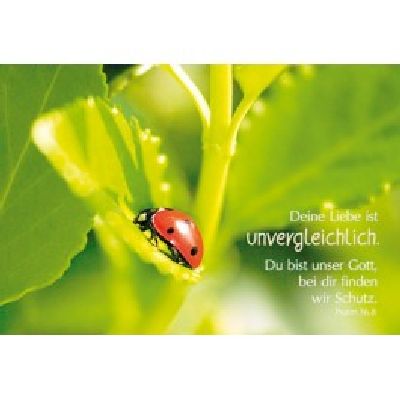 Faltkarte: Deine Liebe ist unvergleichlich - Geburtstag