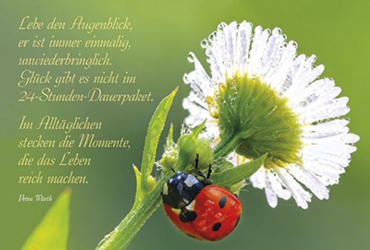 Faltkarte: Lebe den Augenblick - Geburtstag