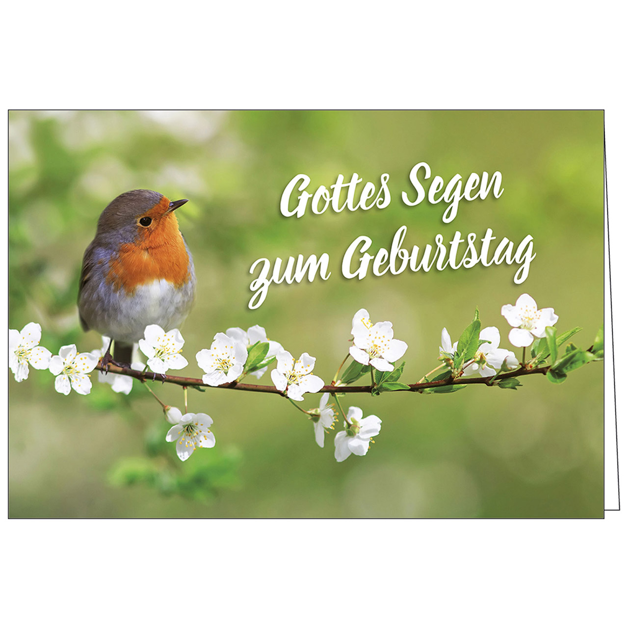 Faltkarte Gottes Segen