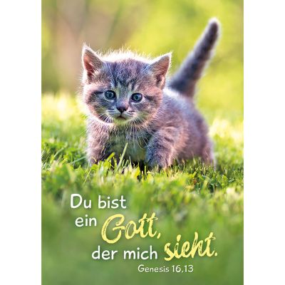 Jahreslosung 2023 - Postkarten, 12 Stück - Katze