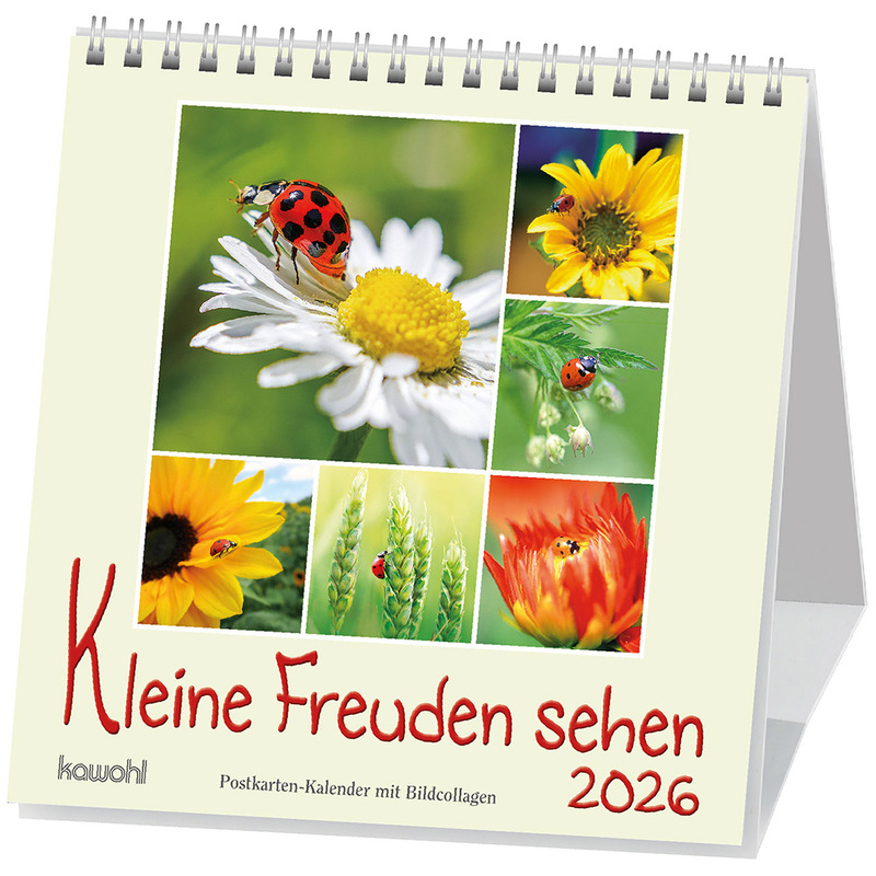 Kleine Freuden sehen 2026 - Postkartenkalender