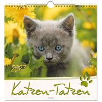 Katzen-Tatzen 2027 - Wandkalender