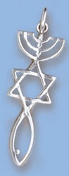 Schmuckanhänger Menorah-Davidstern-Ichthys, 30mm