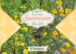 Postkarten-Set: Sonnenstrahlen