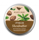 Lippenbalsam - Sheabutter