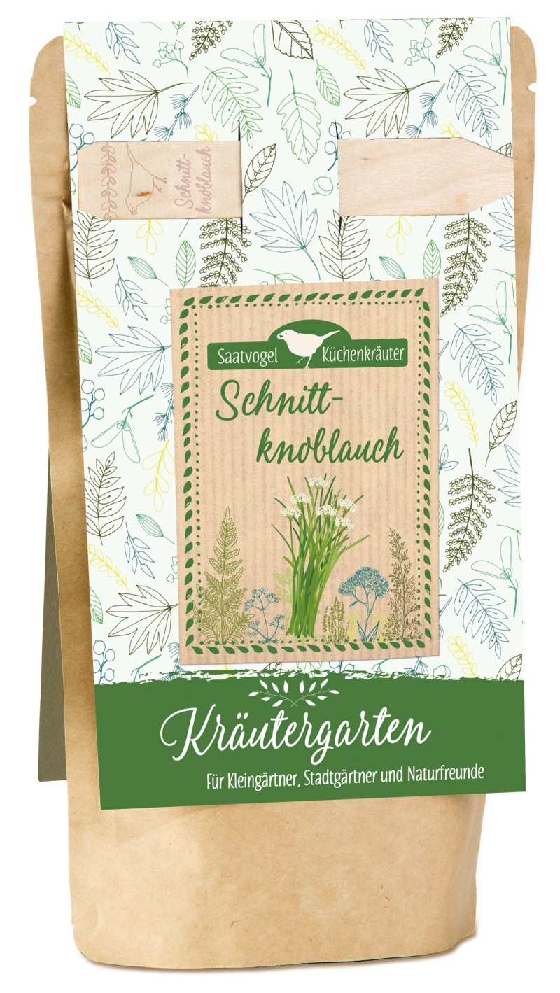 Küchenkräuter Saatvogel Schnittknoblauch
