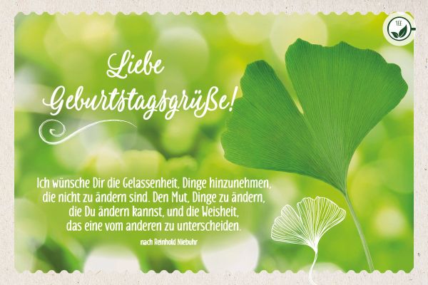 Teekarte - Liebe Geburtstagsgrüße!