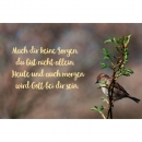 Mach dir keine Sorgen - Motiv Spatz (CD-Card)|Mit einem Lied von Matthias Fruth