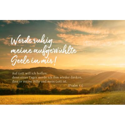 CD-Card: Werde ruhig, meine aufgewühlte Seele