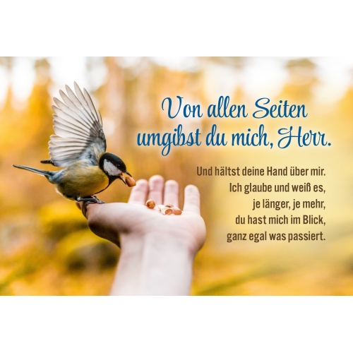 Von allen Seiten umgibst du mich, Herr (CD-Card)