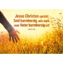 Seid barmherzig, wie auch euer Vater ... - Motiv Kornfeld (Postkarten einzeln)|Jahreslosung 2021