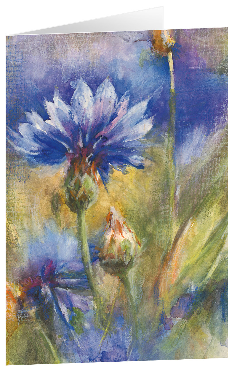 Kornblumen - Kunst-Faltkarten ohne Text (6 Stück)