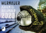 Wernauer Adventskalender 2020|Anders als geplant