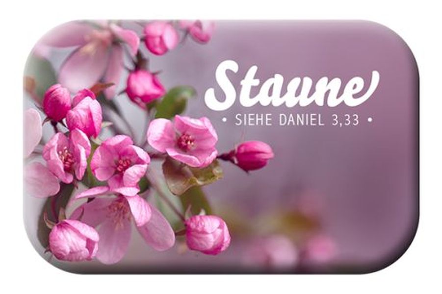 Magnet - Staune