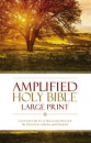 Amplified Holy Bible - Thinline - Large Print|Colour - Hardback