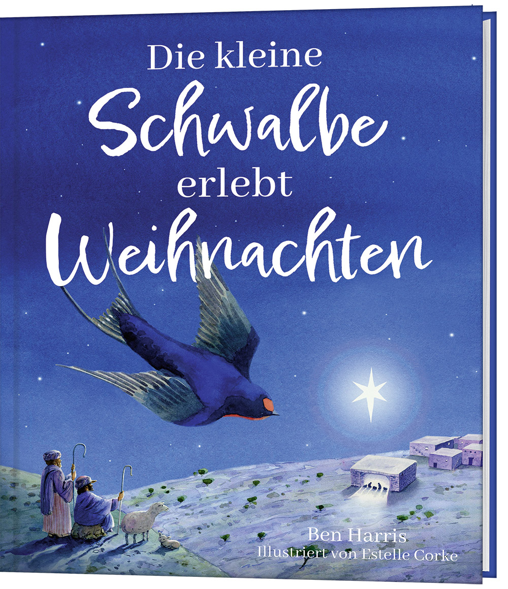 Die kleine Schwalbe erlebt Weihnachten