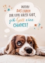 Gib Gott eine Chance (Postkarte)