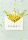 Danke (Kuvert) (Postkarte)