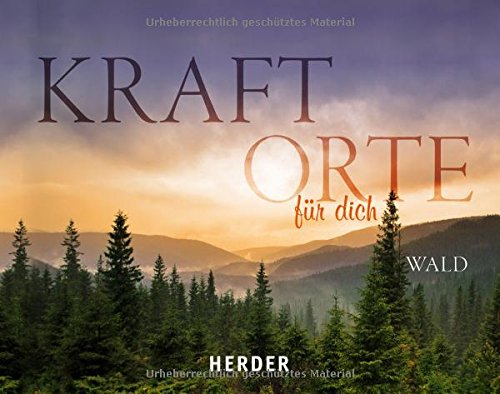 Kraftorte für dich: Wald