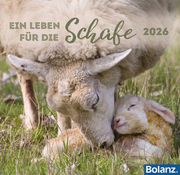 Ein Leben für die Schafe 2026 - Tischkalender
