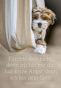 Jahreslosung 2027 - Poster A4 Hund