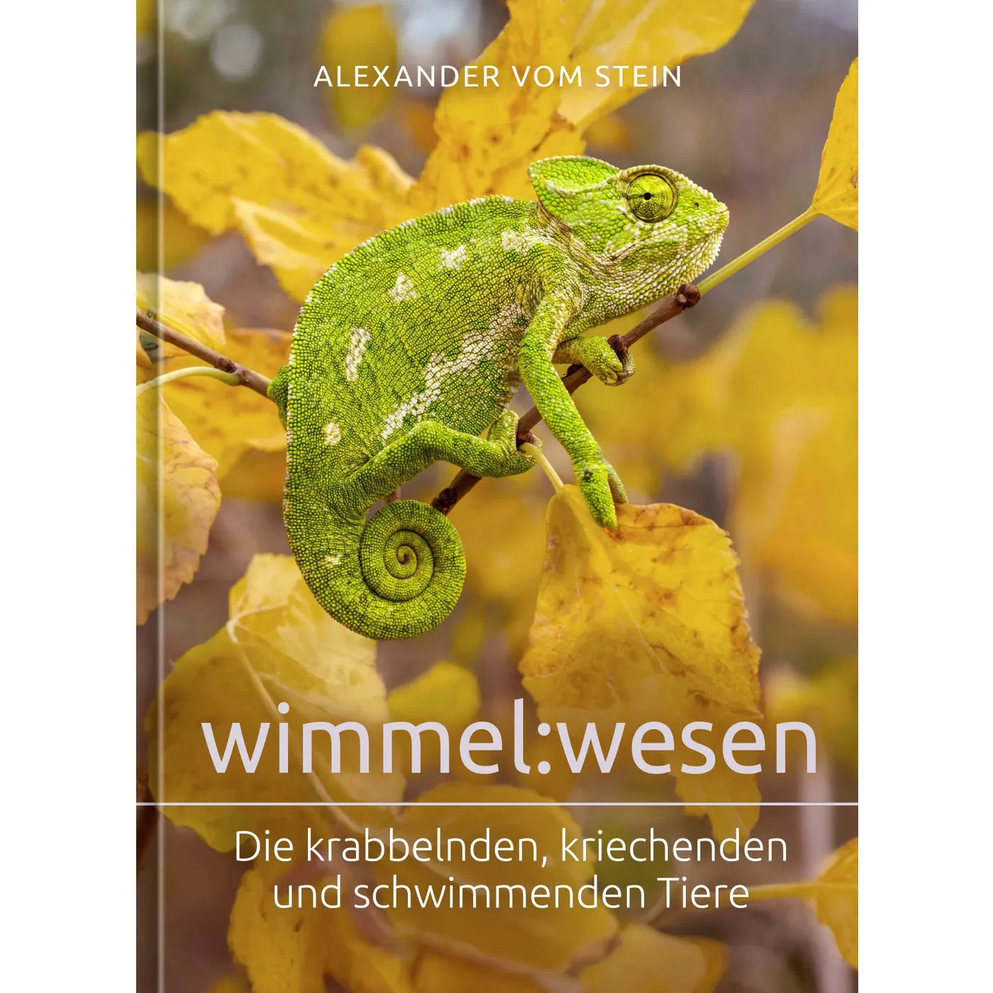Wimmel.Wissen
