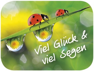 Viel Glück & viel Segen (Mini-Reinigungs-Pad)|3 x 4 cm
