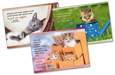 Katzen-Postkarten-Paket