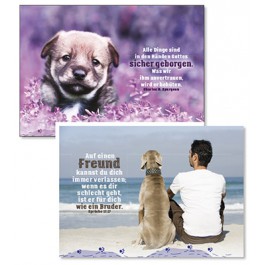 Hunde-Postkarten (60 Stück)