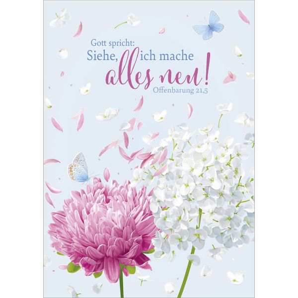 Jahreslosung 2026 - Postkarten, 4 Stk Grafik