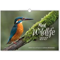 Real Wildlife 2027 - Wandkalender