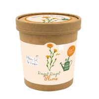 Pflanz-Set Kinder Ringel-Ringel-Blume