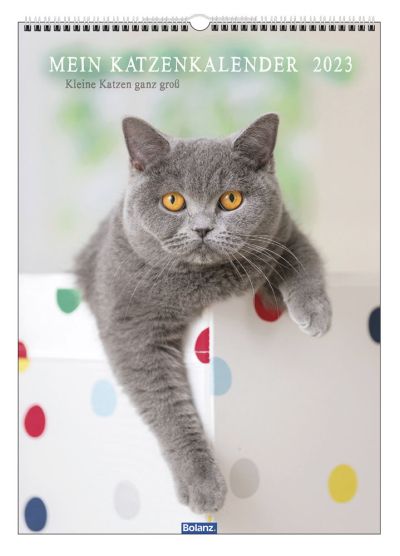 Mein Katzenkalender 2023 - Wandkalender