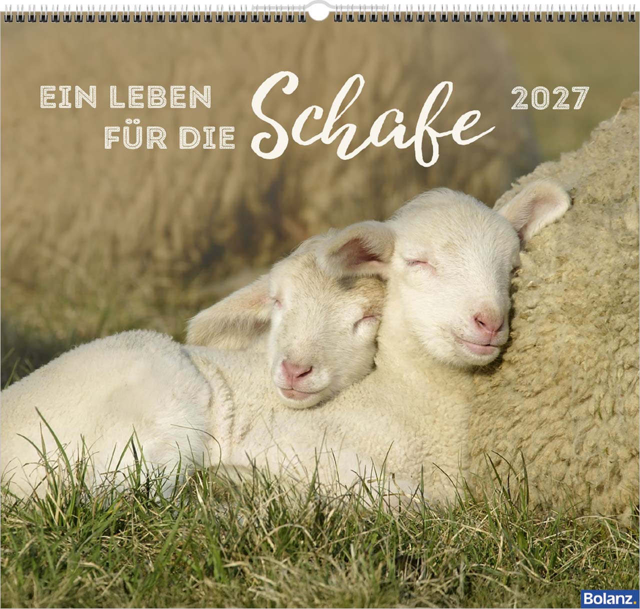 Ein Leben für die Schafe 2027 - Wandkalender