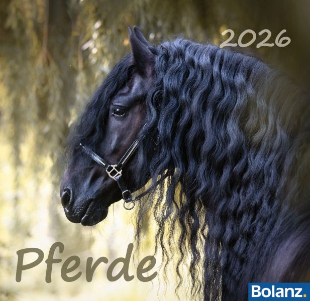 Pferde 2026 - Tischkalender