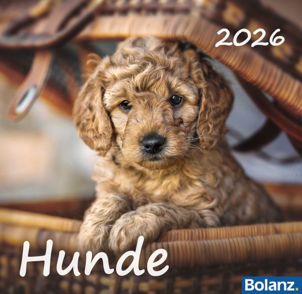 Hunde 2026 - Tischkalender
