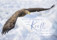 Faltkarte Alles Gute zum Geburtstag - Adler