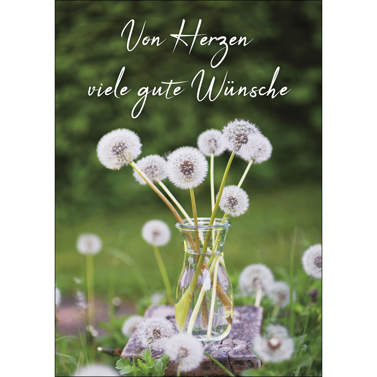 Postkarten: Von Herzen viele gute Wünsche, 4 Stück