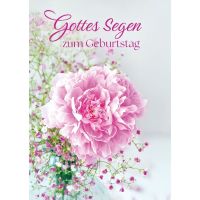 Postkarten: Gottes Segen zum Geburtstag, 4 Stück