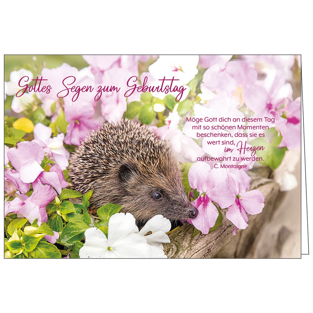 Gottes Segen zum Geburtstag - Möge Gott dich an diesem Tag...