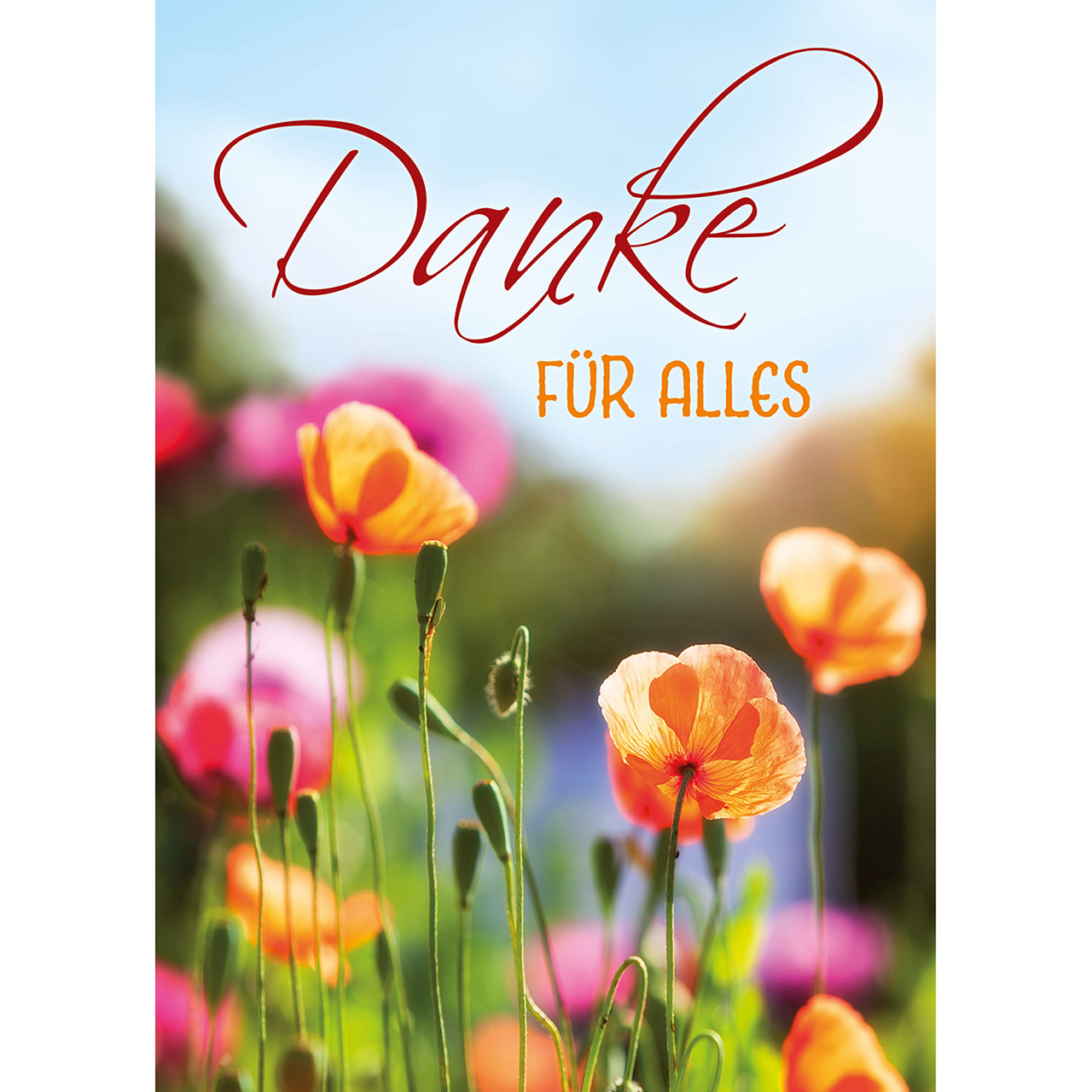 Postkarten: Danke, 12 Stück