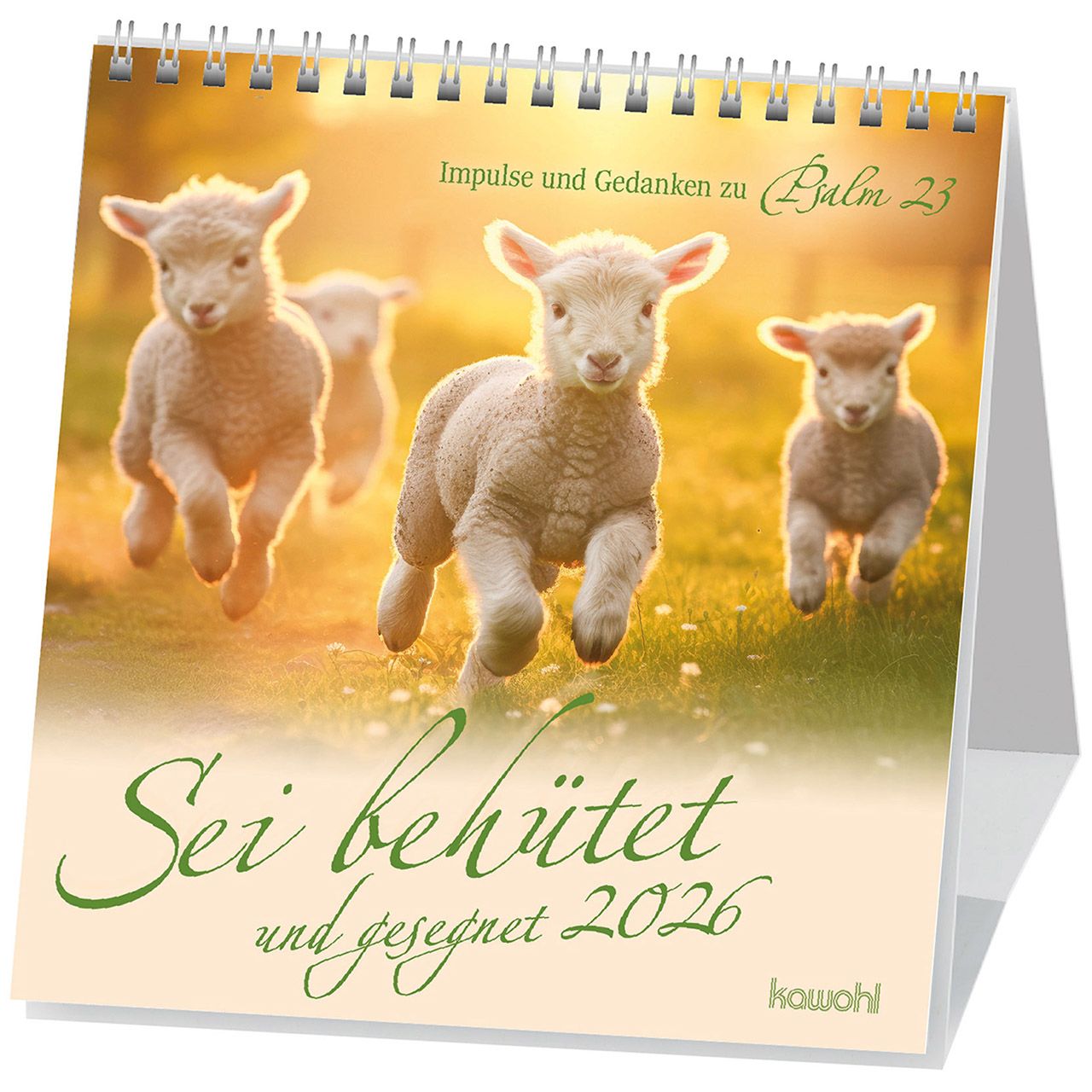 Sei behütet und gesegnet 2026 - Postkartenkalender