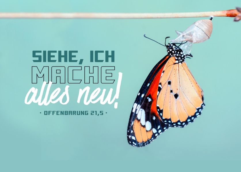 Jahreslosung 2026 - Postkarte Schmetterling